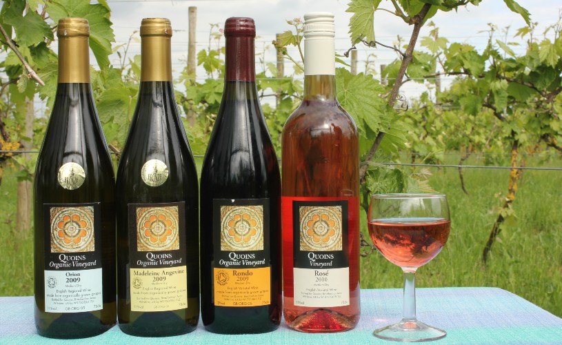 Bottles of wine from Quoins Organic Vineyard